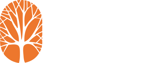 Park Lane Terrace | Home